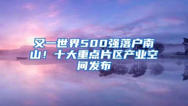 又一世界500强落户南山！十大重点片区产业空间发布