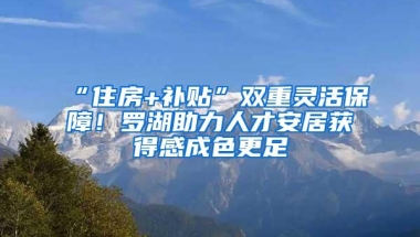 “住房+补贴”双重灵活保障！罗湖助力人才安居获得感成色更足