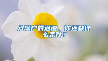 入深户的通道，你还缺什么条件？