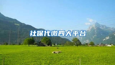 社保代缴四大平台