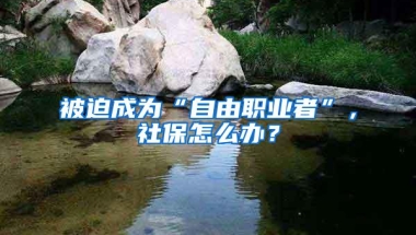 被迫成为“自由职业者”，社保怎么办？
