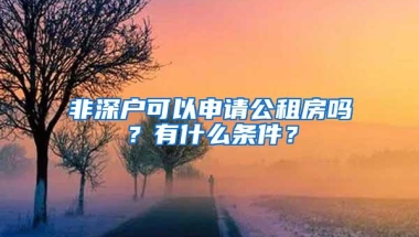 非深户可以申请公租房吗？有什么条件？
