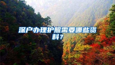 深户办理护照需要哪些资料？