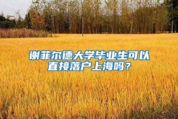 谢菲尔德大学毕业生可以直接落户上海吗？