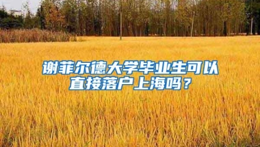 谢菲尔德大学毕业生可以直接落户上海吗？