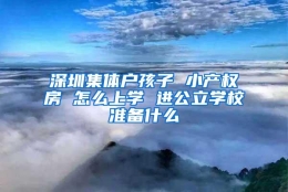 深圳集体户孩子 小产权房 怎么上学 进公立学校准备什么