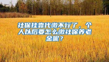 社保挂靠代缴不行了，个人以后要怎么缴社保养老金呢？