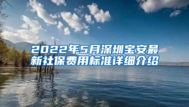 2022年5月深圳宝安最新社保费用标准详细介绍