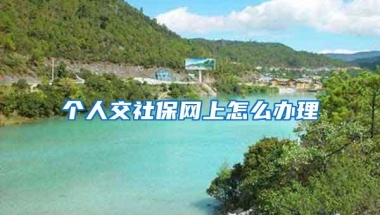 个人交社保网上怎么办理