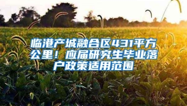 临港产城融合区431平方公里！应届研究生毕业落户政策适用范围