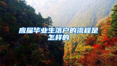 应届毕业生落户的流程是怎样的