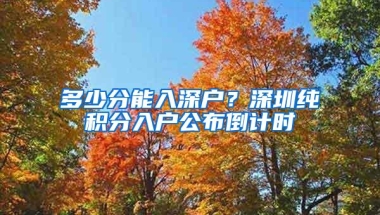 多少分能入深户？深圳纯积分入户公布倒计时