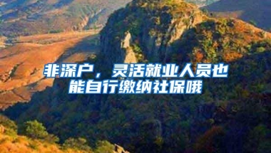非深户，灵活就业人员也能自行缴纳社保哦