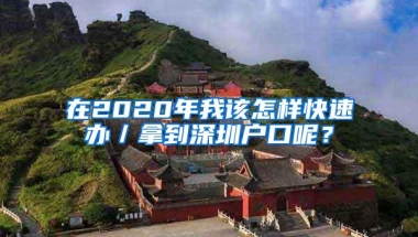 在2020年我该怎样快速办／拿到深圳户口呢？