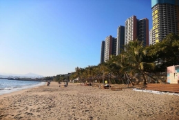 深圳集体户口一年需要交多少钱问题热点解答来了，建议收藏这份指南