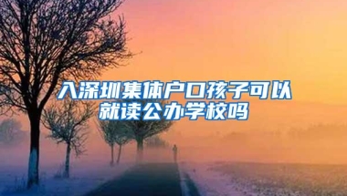 入深圳集体户口孩子可以就读公办学校吗