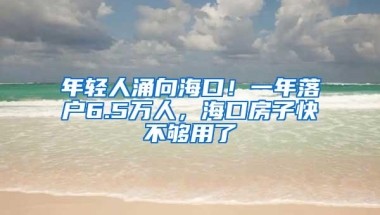 年轻人涌向海口！一年落户6.5万人，海口房子快不够用了