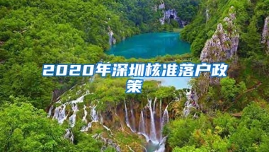 2020年深圳核准落户政策