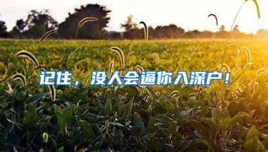 记住，没人会逼你入深户！