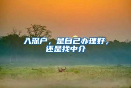 入深户，是自己办理好，还是找中介