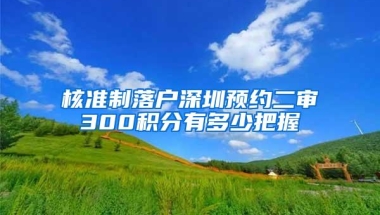核准制落户深圳预约二审300积分有多少把握