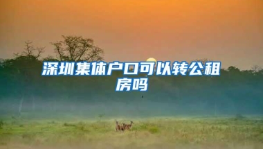 深圳集体户口可以转公租房吗