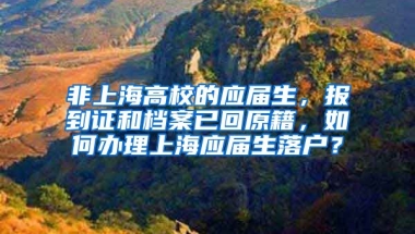 非上海高校的应届生，报到证和档案已回原籍，如何办理上海应届生落户？