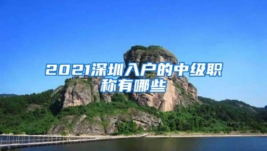 2021深圳入户的中级职称有哪些