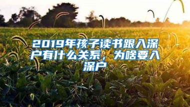 2019年孩子读书跟入深户有什么关系，为啥要入深户
