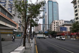 深圳留学生入户怀孕，90%以上问题都在这了！