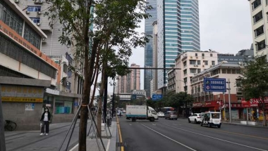 深圳留学生入户怀孕，90%以上问题都在这了！
