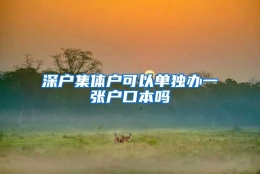 深户集体户可以单独办一张户口本吗