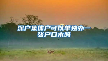 深户集体户可以单独办一张户口本吗