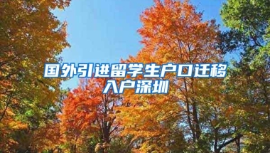 国外引进留学生户口迁移入户深圳