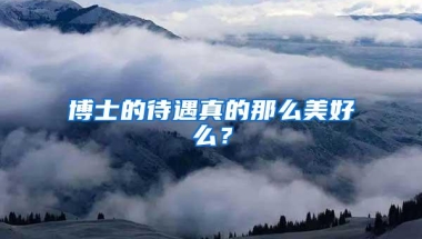 博士的待遇真的那么美好么？