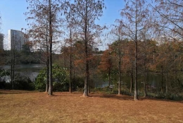 深圳集体户口怎么开难不难应对，看这三点，谁看谁知道！