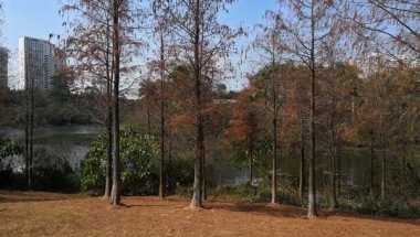 深圳集体户口怎么开难不难应对，看这三点，谁看谁知道！