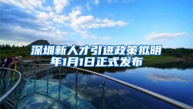 深圳新人才引进政策拟明年1月1日正式发布