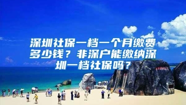 深圳社保一档一个月缴费多少钱？非深户能缴纳深圳一档社保吗？