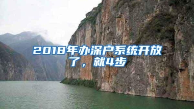 2018年办深户系统开放了，就4步