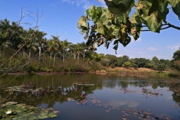 关于深圳集体户口小孩怎么落户，你知道的可能都是错的！