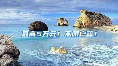 最高5万元！不限户籍！
