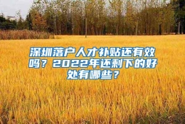 深圳落户人才补贴还有效吗？2022年还剩下的好处有哪些？
