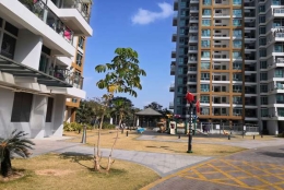 10分钟，让你可以轻松解决博士毕业可以直接入户深圳的困惑！