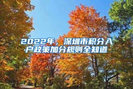 2022年，深圳市积分入户政策加分规则全知道