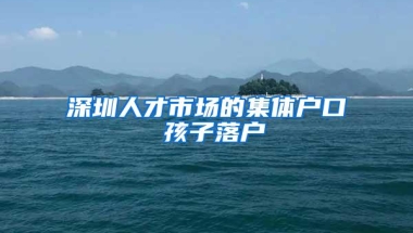 深圳人才市场的集体户口 孩子落户