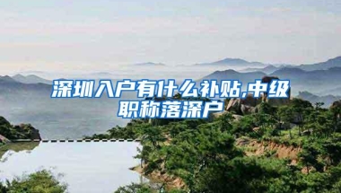 深圳入户有什么补贴,中级职称落深户