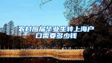 农村应届毕业生转上海户口需要多少钱