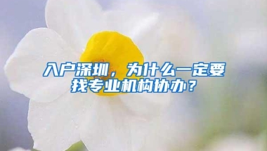 入户深圳，为什么一定要找专业机构协办？