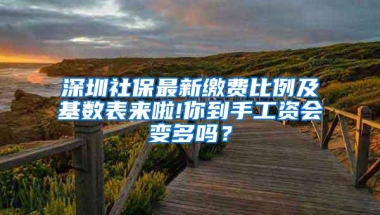 深圳社保最新缴费比例及基数表来啦!你到手工资会变多吗？